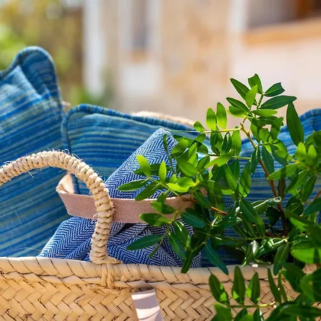 Farm stay Son Siurana Alcudia (Mallorca)
