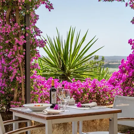 Farm stay Son Siurana *